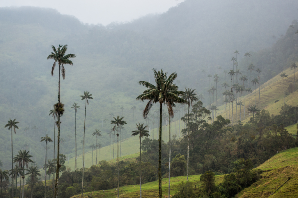 Salento Colombia