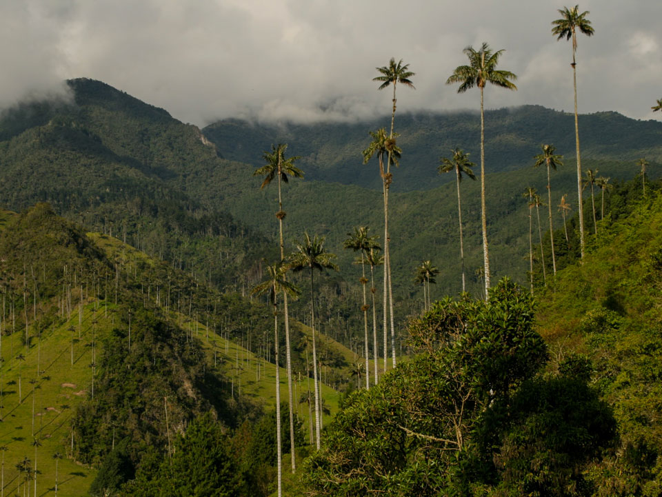 Salento Colombia