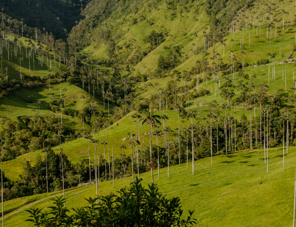 Salento Colombia