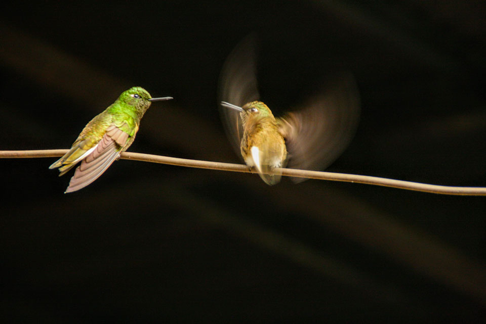 Salento Colombia